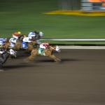 NightAtRaces_0082 (August 24, 2013)